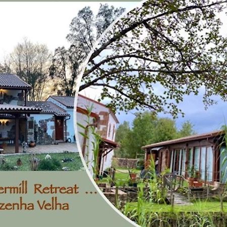 The Old Watermill Retreat - O Retiro Da Azenha Velha Leilighet Vila Nova de Poiares Eksteriør bilde